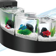 Pecera Bettera triple para peces bettas y tropicales - Img 55788935