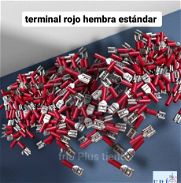 Terminales - Img 45957713