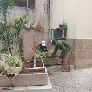 servicios de Jardinería y Limpieza - Img 118921301