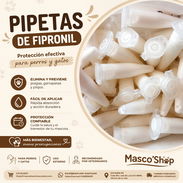 Pipeta de Fipronil - Img 54187461