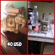 Se vende elefante elegante - Img 56343287