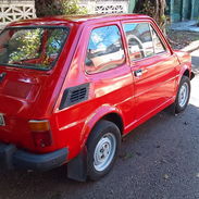 Se vende polaco, polsky, polakito, polaquito. $3500 - Img 52529740