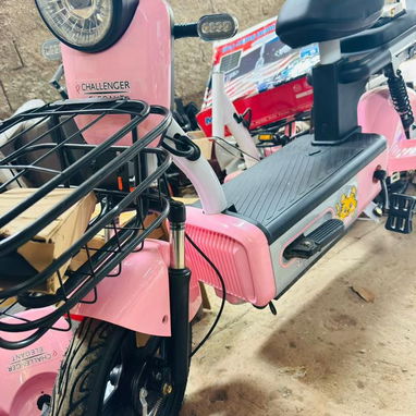 Llegaron las esperadas bicicletas Rali de 3 ruedas,patinetas , bicivletad eléctricas y otras.No demores en hacer tu pedi - Img 118899429