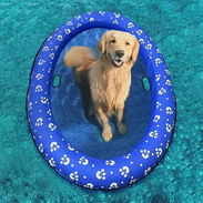Piscina para perros, flotadores inflables para perros - Img 53582497