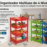 Organizador de 4 niveles rectangular (CV) - Img 54369298