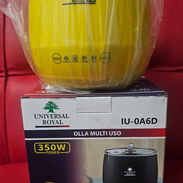 Ollita multifuncional 1.8 litros sirve para Ecoflow y plantas 350w de consumo - Img 58174344