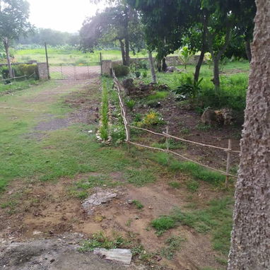 Se vende finca cerca de las terrazas - 3/10