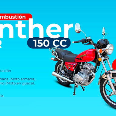 Motos de Combustión Panther - 3/8