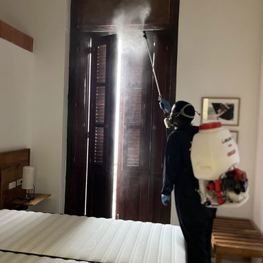 FUMIGADOR-CONTROLADOR DE PLAGAS-EXTERMINADOR. FUMIGACIÓN DE chinche cucaracha garrapatas mosquitos ratones moscas - Img 115453738