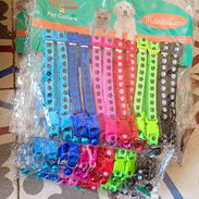 Tienda de mascotas todo tipo de artículos de perros en venta .domicilio disponible - Img 56423848