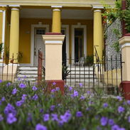 Renta de Habitaciòn en casa colonial en el vedado - Img 55223097