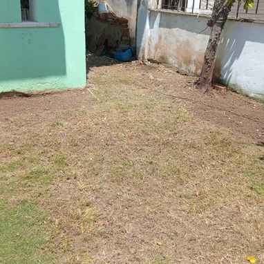 Servicio de jardinería 👩🏼🌾 - Img 127441446