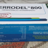 Ferrodel (Hematínico Vitaminado) Multivitaminas - Img 56702614