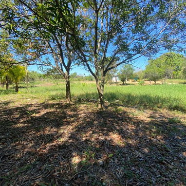 Finca en la zona de la UCI. - Img 125936943