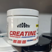 CREATINA MONOHIDRATADA VITOBEST - Img 56400543