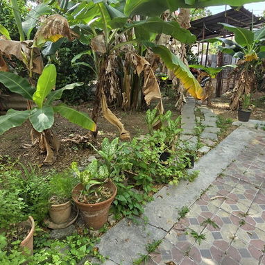 Casa no independiente (bajo de biplanta) de 2/4 y terreno, en Víbora Park (VP-22) - Img 121766093