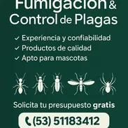 Servicio de fumigación para plagas urbanas - Img 57195456