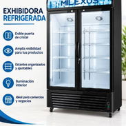 EXHIBIDOR DOBLE MARCA MILEXUS - Img 58219103