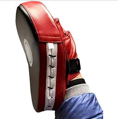 Manoplas de Boxeo - Mascotas de boxeo - Img 84063434