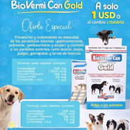 BiovermiCan Gold - Img 54590871