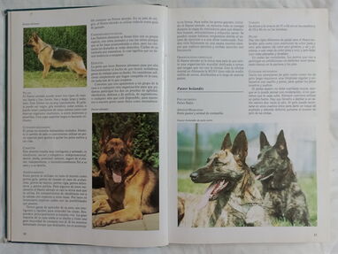 Enciclopedia de los perros - Img 63921294
