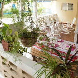 🏠🛏️🌳  Alquiler de Hermosas Habitaciones en Viñales REF 1247 - Img 102790168