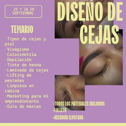 Curso de diseño de cejas - Img 57539899
