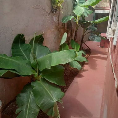 Se vende casa en Cárdenas de 3 cuartos - 2/9