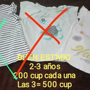 BLUSITAS excelente estado para niñas 12 meses a 3 años - Img 53023276