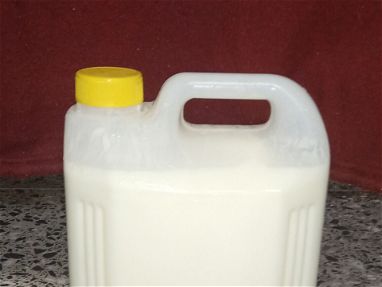 Yogurt probiótico natural artesanal - Img main-image-45644377