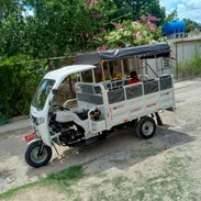 Triciclo lifan 300 CC con chapa y circulación---tiene solo 1000 KM caminados , está casi nuevo , cambio de aceite echo - Img 58032418