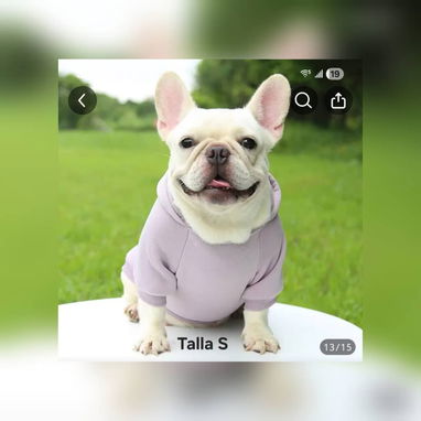 Ropa para Mascota - Img 115001104