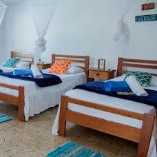 ♦️🌊Casa Pimienta en renta, 9 habitaciones, Bocaciega - Img 117086689