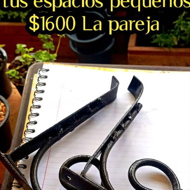 El Jardín de Venus - Img 123115595