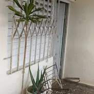 Apartamento - Img 55999473