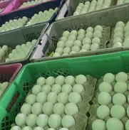 VENTA DE HUEVOS FRESCOS, NACIONALES 52847894, RECIEN TRAIDOS DE LA GRANJA - Img 49250127