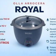 Olla arrocera Royal - Img 56212578