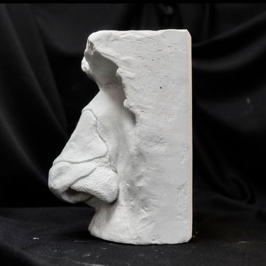 Cráneo de yeso para estudio de anatomía - 3/5
