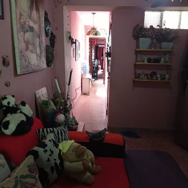 Vendo apto en centro habana - Img 122330580