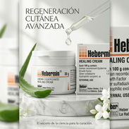 Hebermin Factor de Crecimiento frasco sellado 30 g - Img 58027368