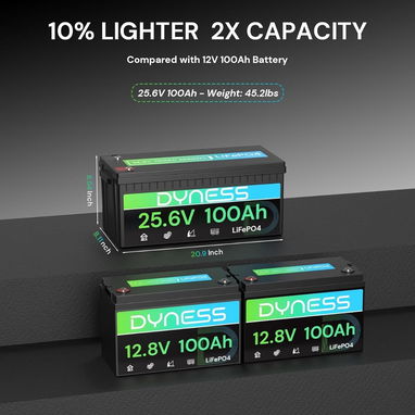 Batería LiFePO4 24V 100Ah (2560Wh) Dyness con BMS 100A y protección de baja temperatura - Ideal para sistema solar 🌐 - 2/8