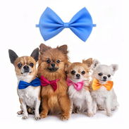 Pajarita Ajustable para Mascotas / Diversos Colores - Img 57204736