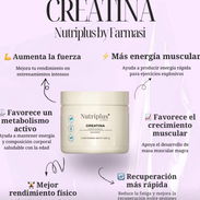Creatina - Img 56224280