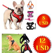 Arnés para perros grandes y medianos - Img 56276693