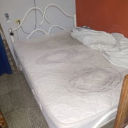 Cama de tubo - Img 58333382