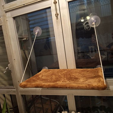 Cama para gato con ventosa - Img 123078910