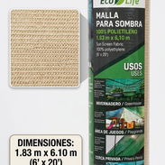 Mayas sombras - Img 56135822