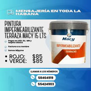 💚♥️ PINTURAS IMPERMEABILIZANTES DE VARIOS COLORES PARA DECORAR CUALQUIER TIPO DE SUPERFICIE - Img 54017083