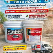 Pintura impermeable original - Img 56799133