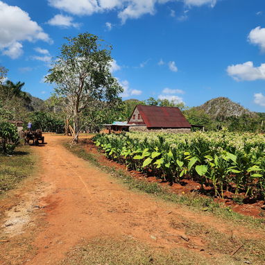⛰️ VIÑALES, DE OTRA MANERA 🐴 Naturaleza, cultura y un secreto que casi nadie conoce — lejos del circuito de siempre. - Img 127090590
